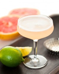Fruit martini citrus fresh homemade recipe liquor mixed cocktail